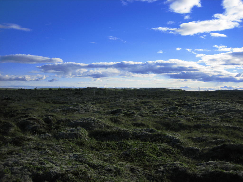 Icelandic Cottages Hraunmork Extérieur photo